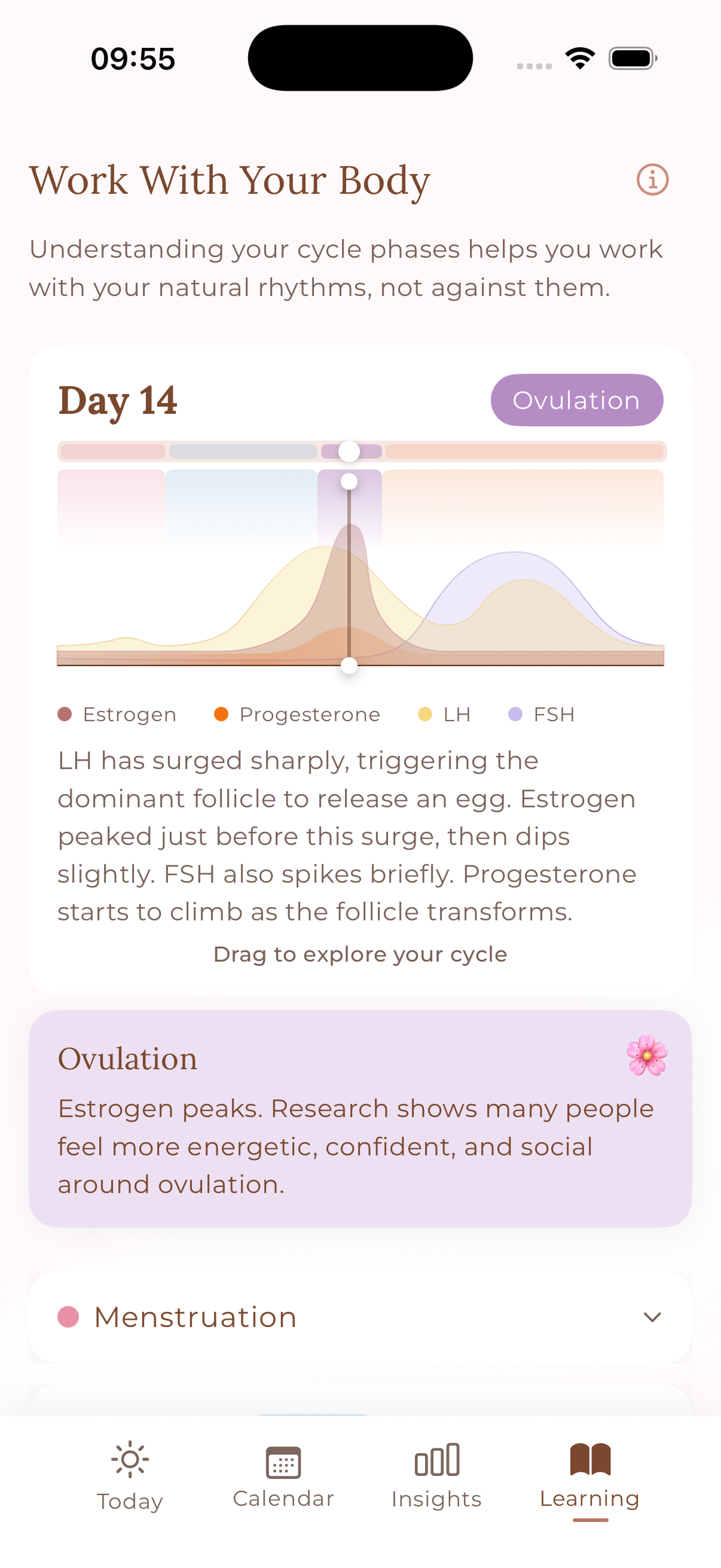 Anima app — recommendations screen